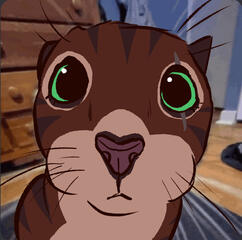 coco stare coco stare