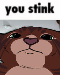 you stink you stink
