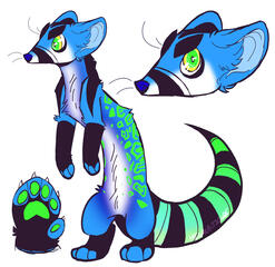 genet genet
